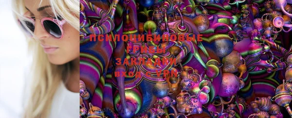 MESCALINE Аркадак